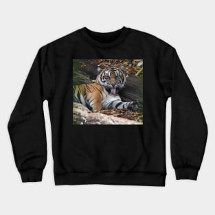 Sumatran Tiger Crewneck Sweatshirt